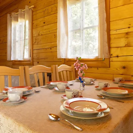 Apartma Brunarca * Borovnica